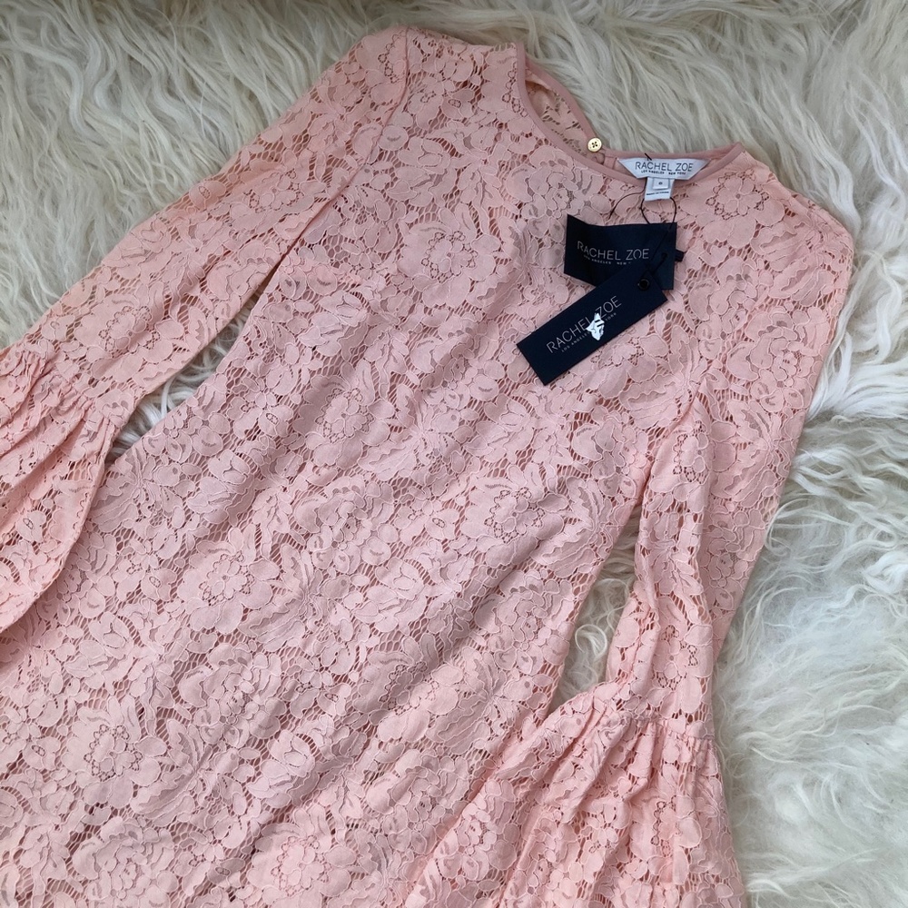 RACHEL ZOE Lace Pattern Mini Dress - Picture 8 of 15